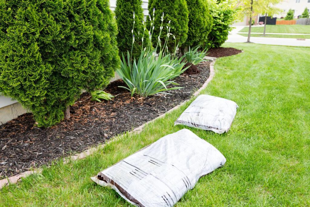 grapevine-landscapers-residential-landscape-design-and-installation-2_orig